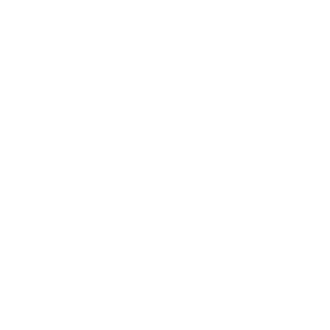 INTEl Logo